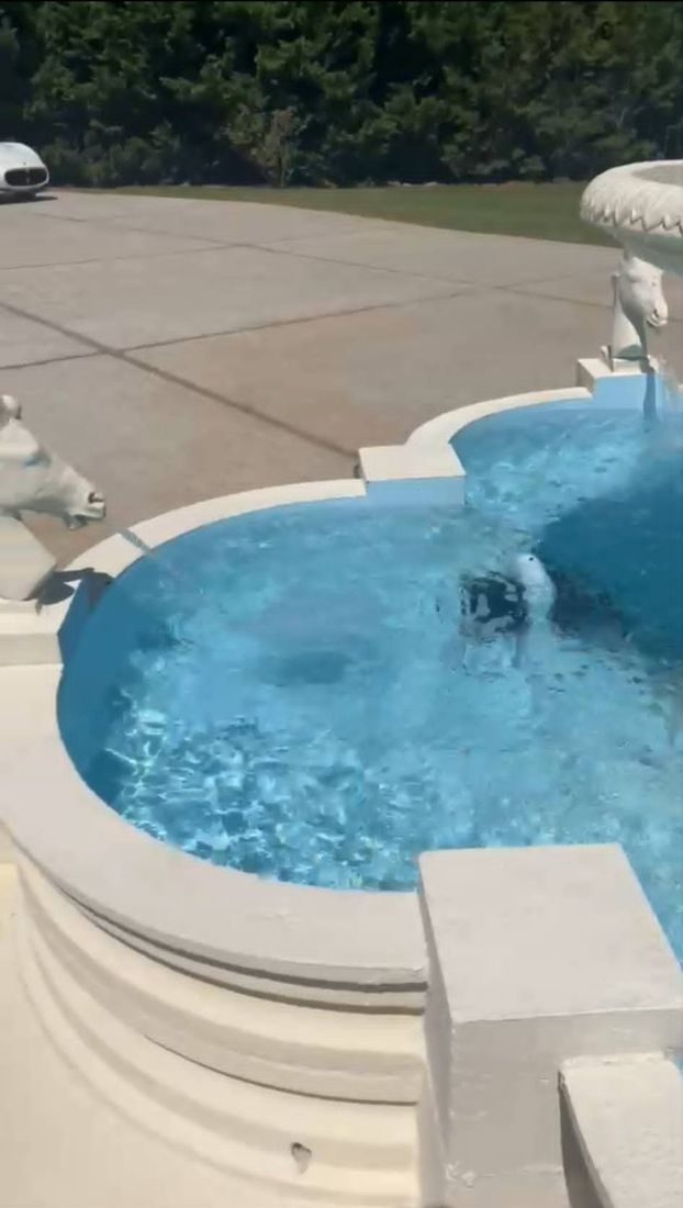 Close view of the Clover pool with horse head spouts pouring water