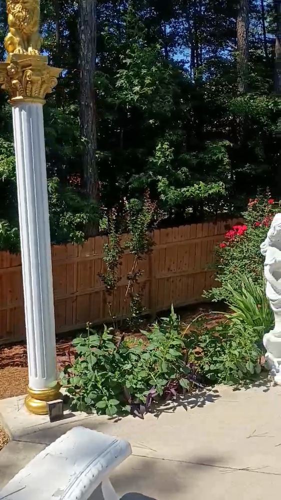 Columns and roses
