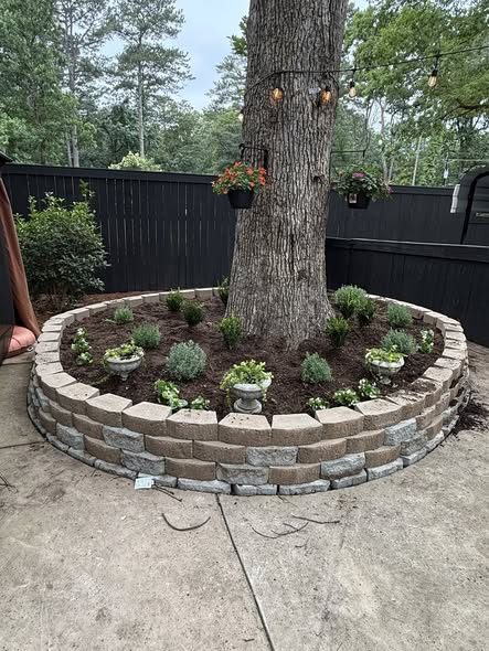 Stone planter ring built around a mature tree with garden urns